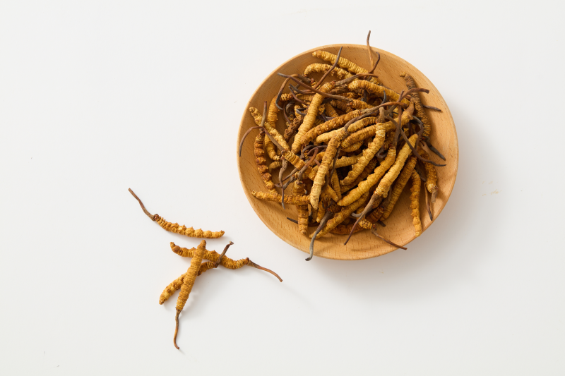 Cordyceps - naładuje utraconą energię